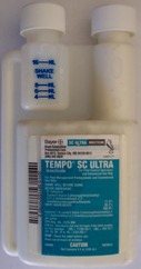 Tempo